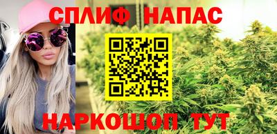 spice Бузулук