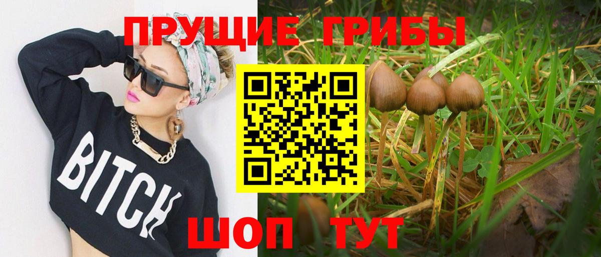 Гашиш Кохма