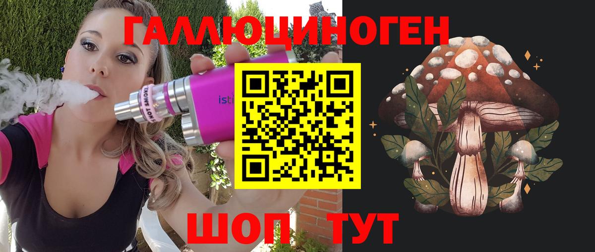 Кохма  Галлюциногенные грибы Psilocybe  Вход с VPN 